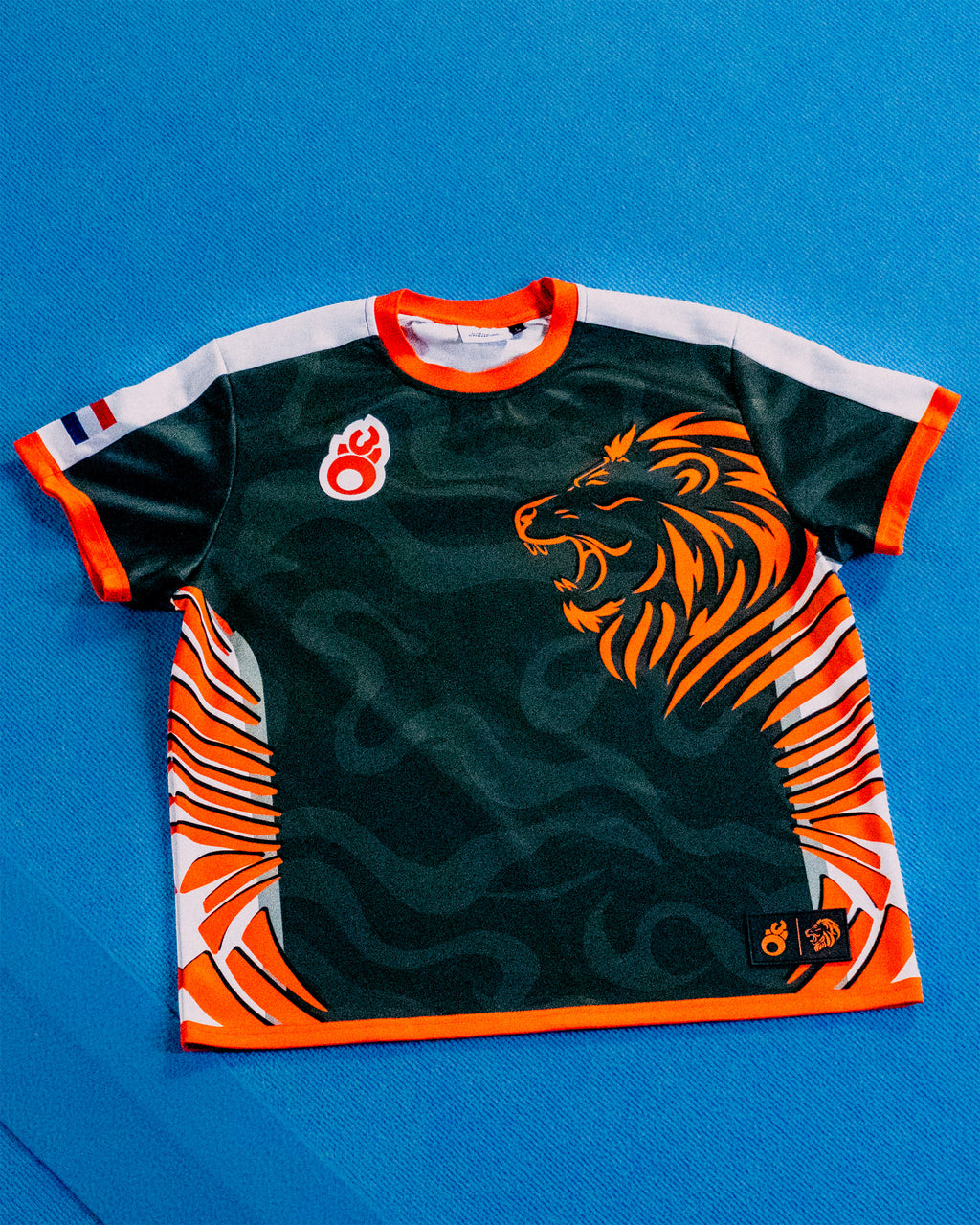 TeamNL 2016-2019