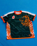 TeamNL 2016-2019