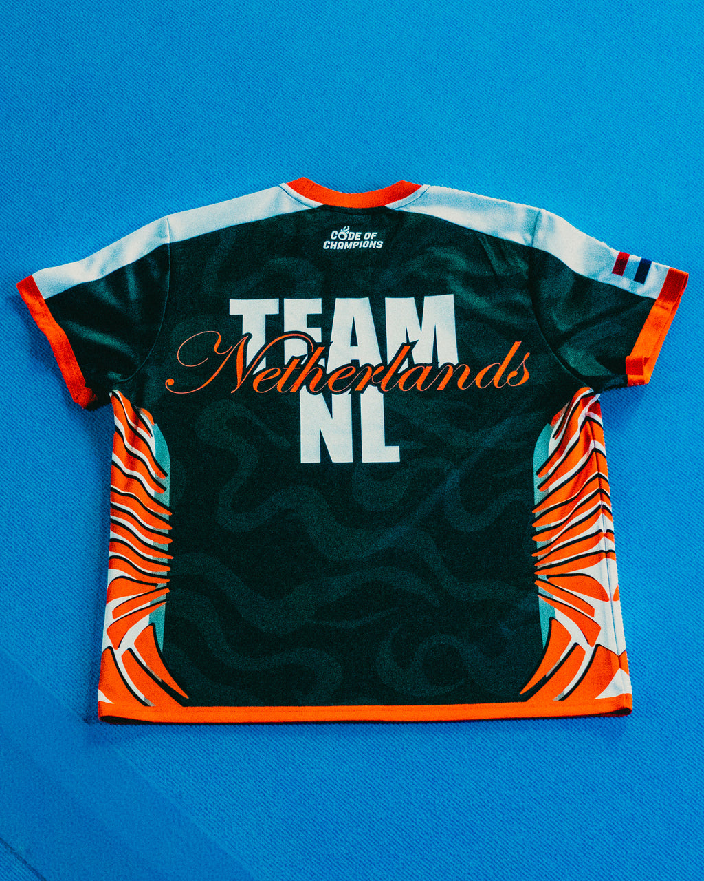 TeamNL 2016-2019